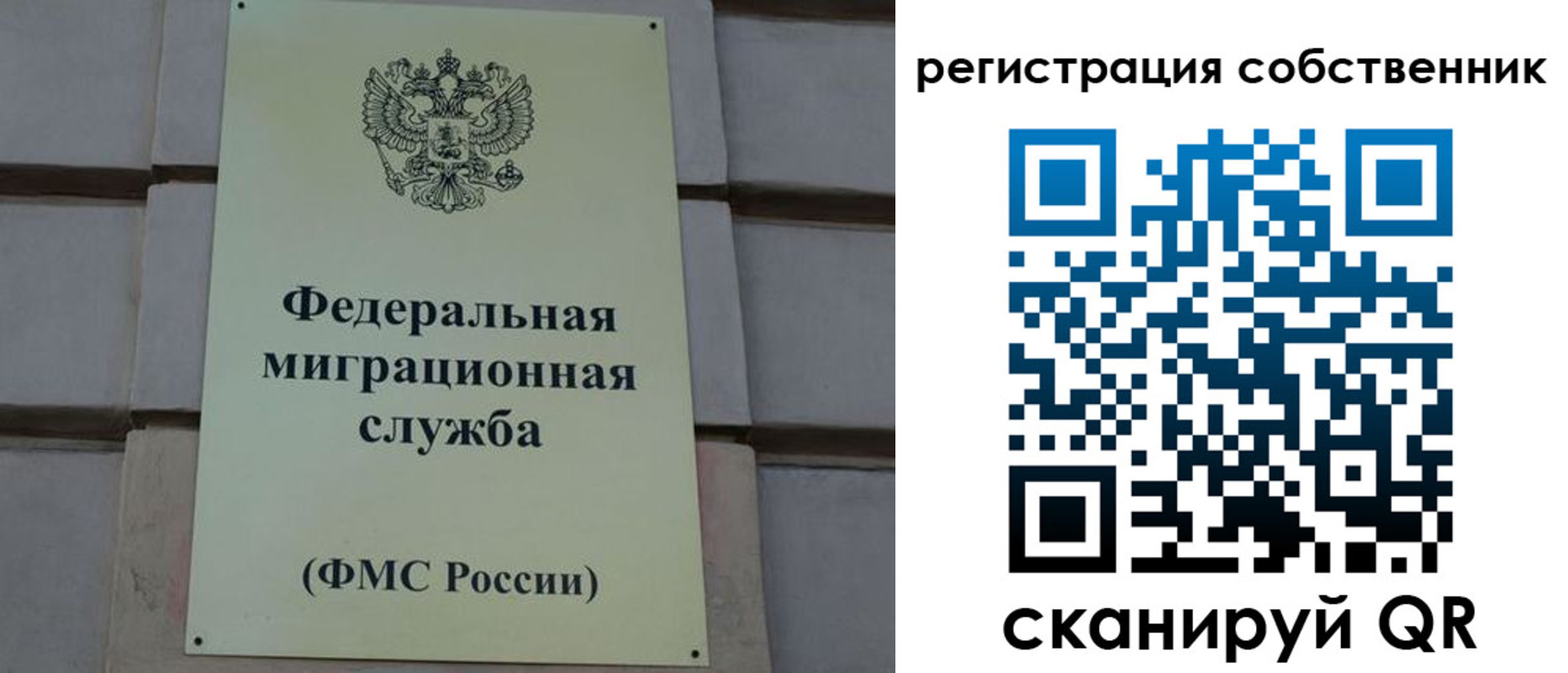 прописка гарантия в Сосенском